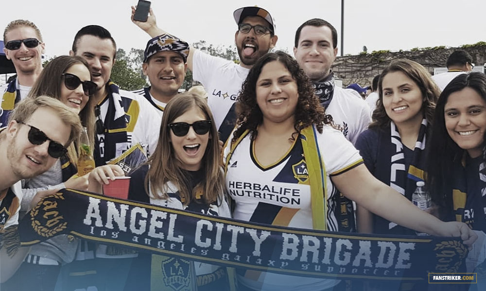 Looking for fans, le bilan aux Etats-Unis