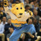 La place des mascottes dans le sport