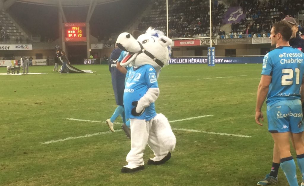 La mascotte accompagne les joueurs sur le terrain après le match